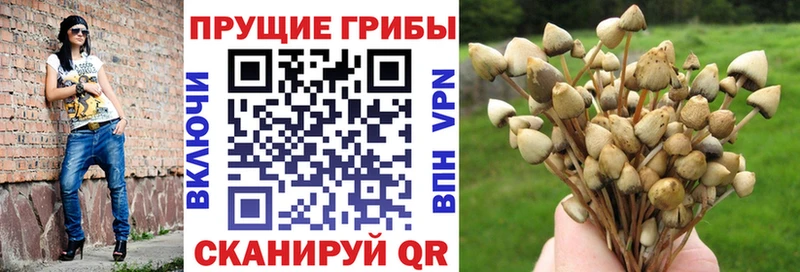 Псилоцибиновые грибы GOLDEN TEACHER  kraken как войти  Лысьва 